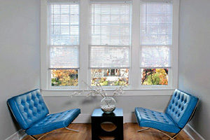 Lotus horizontal blinds from Commonwealth Blinds & Shades